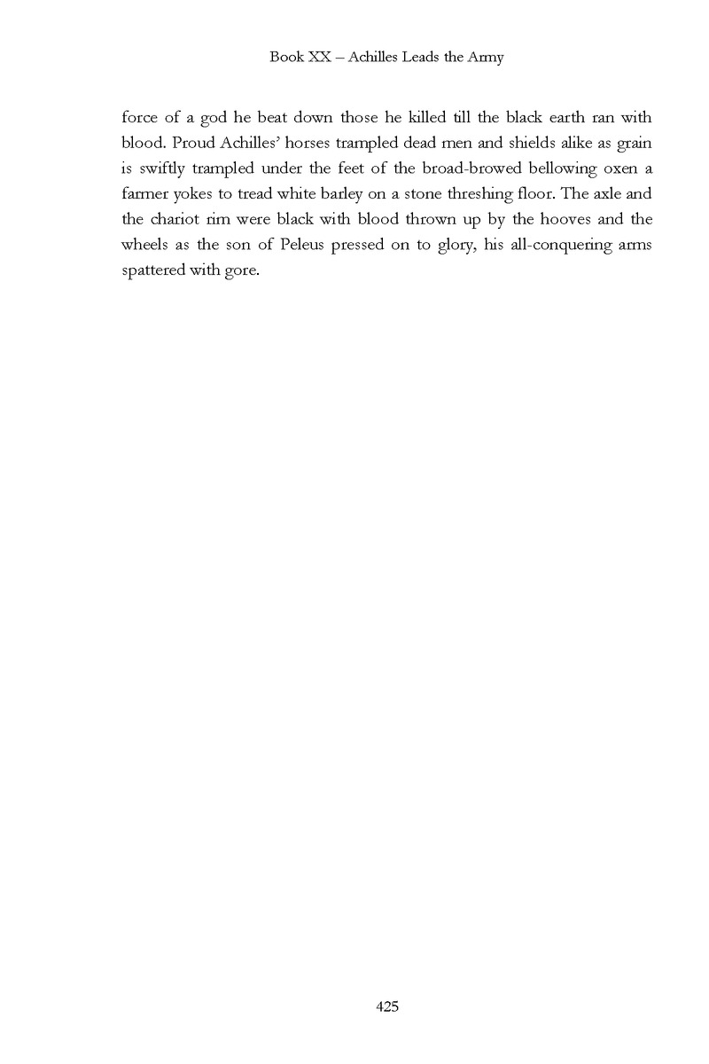 The Iliad - Page 419